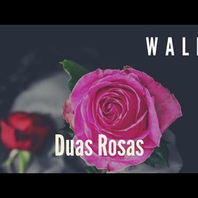 Clipe: Duas Rosas