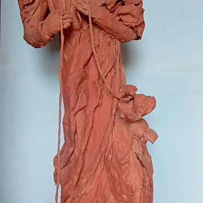 Nossa senhora Desatadora de nós/ Argila sobre tecido / 2014/ coleção particular.