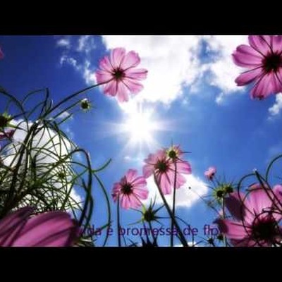 promessa de flor musica