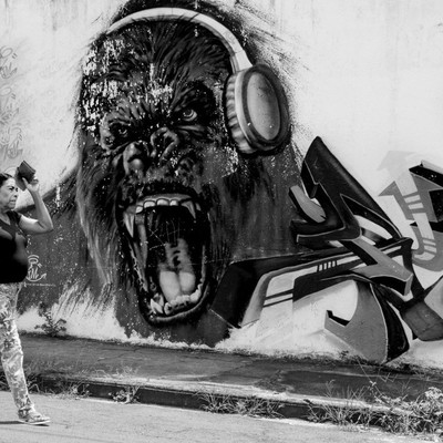 gafitte macaco