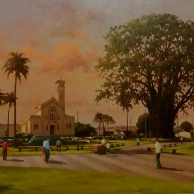 Árvore barriguda - Catedral  São José